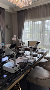 Authentic Gemstone Analysis 2