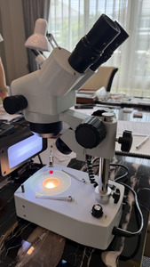 Rare Meteorite Collection 2